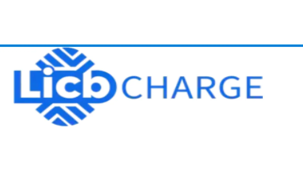 China LiCB AC DC EV Charger Co., Ltd 1