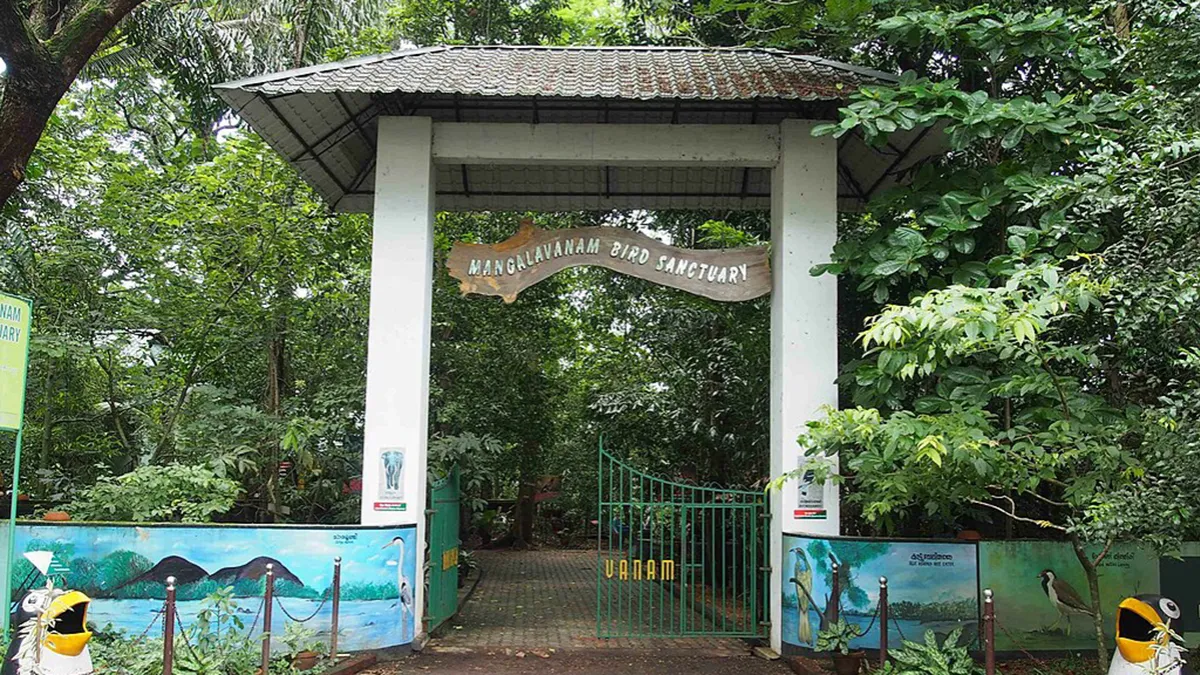 Mangalavanam Bird Sanctuary 2