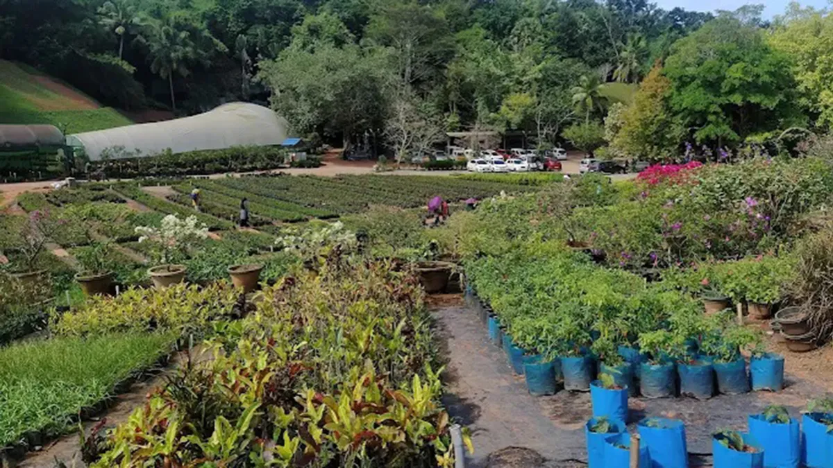 Kuzhipallam Botanical Garden 1