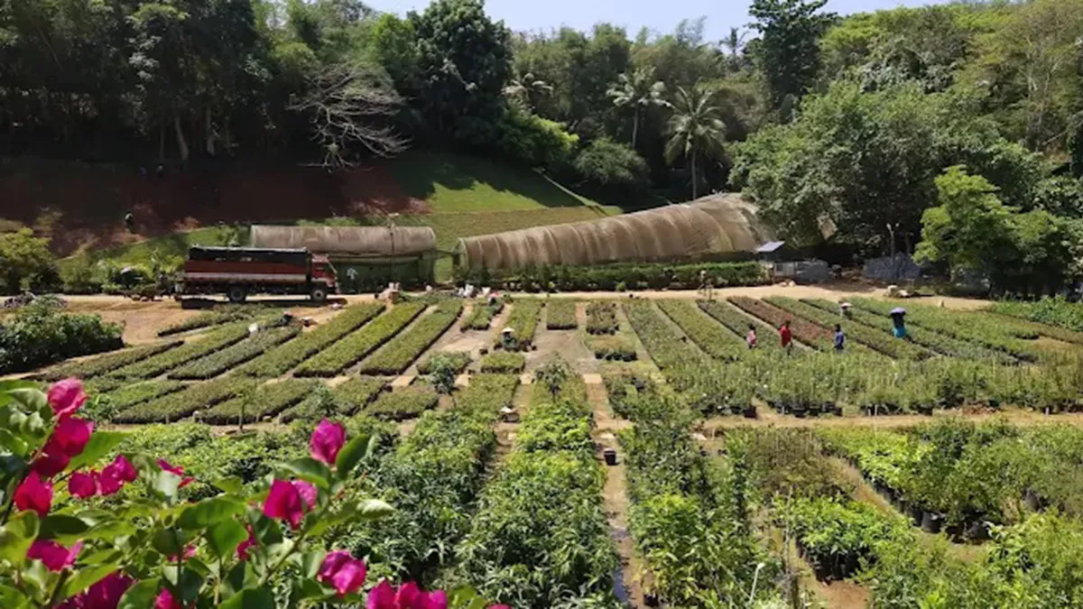 Kuzhipallam Botanical Garden 4