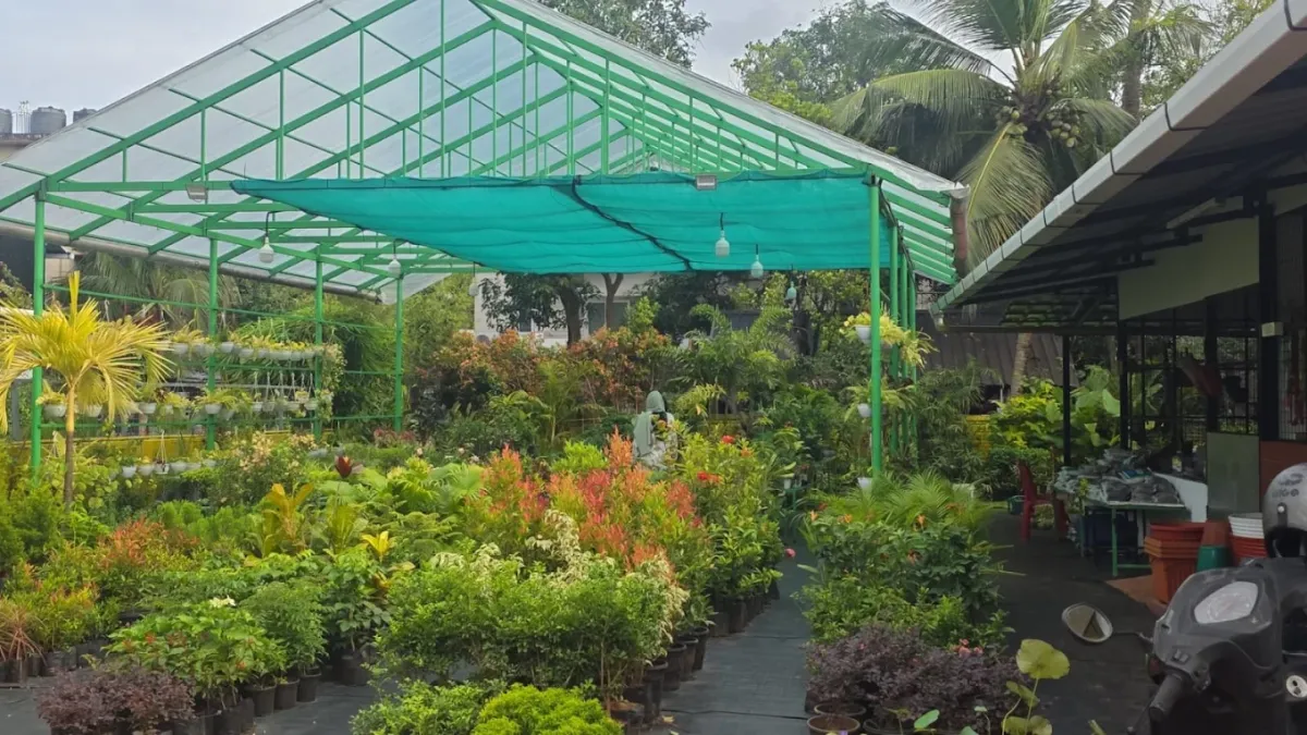 Beatus Garden 1