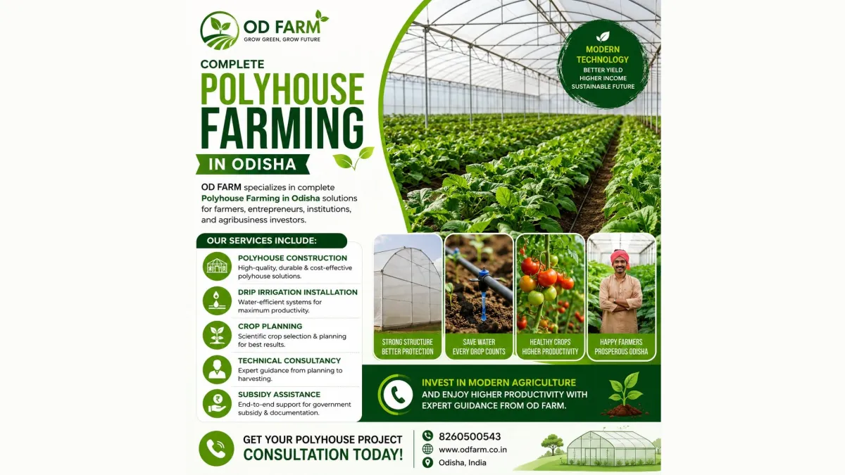 OD FARM 1