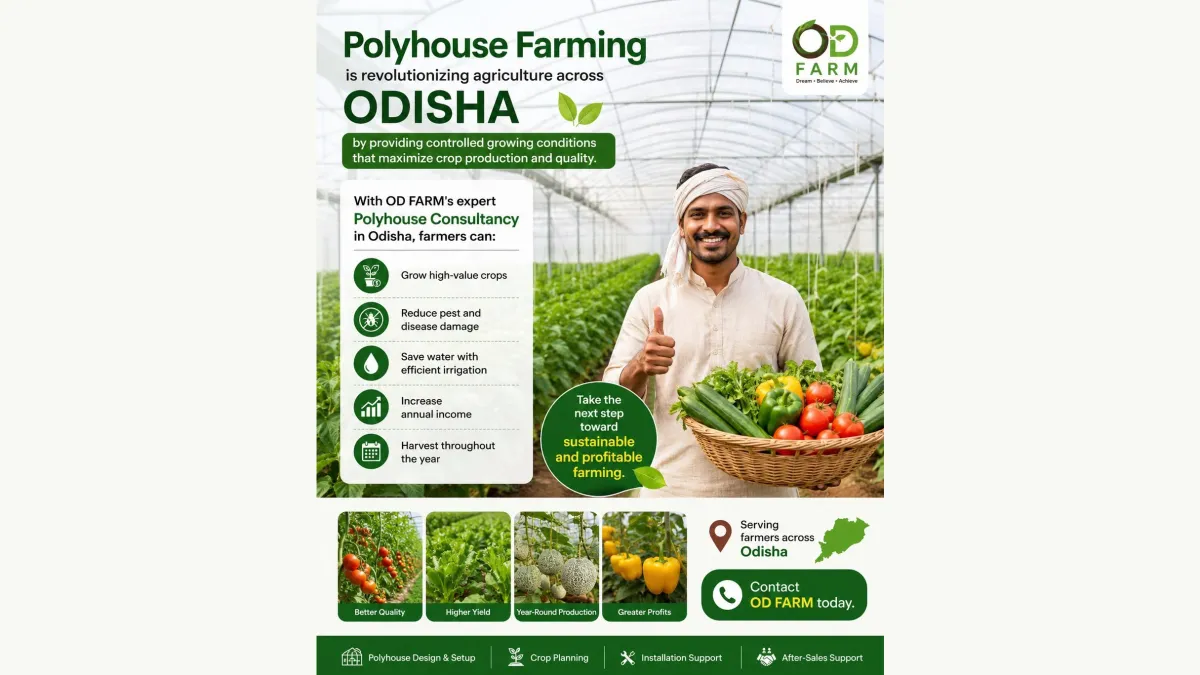 OD FARM 2