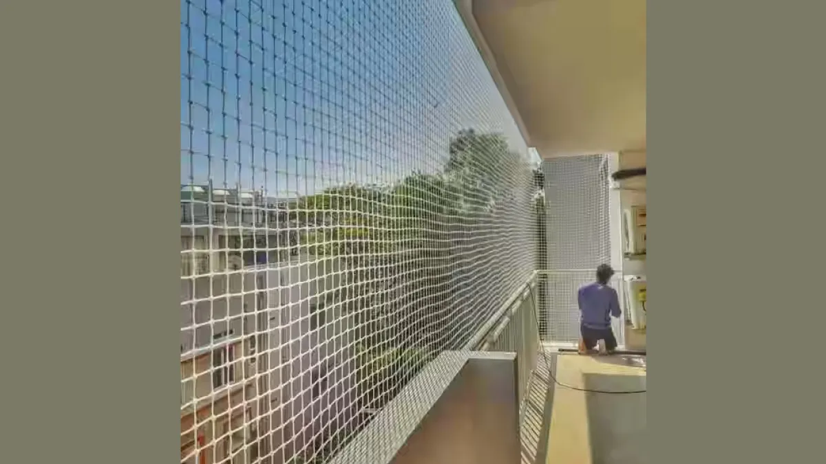 Baba bird net 1