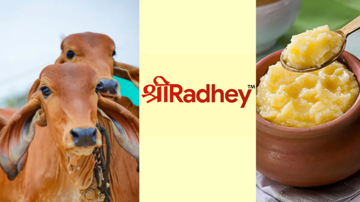 Organic Cow Ghee By Shree Radhey Dairy Farm 1