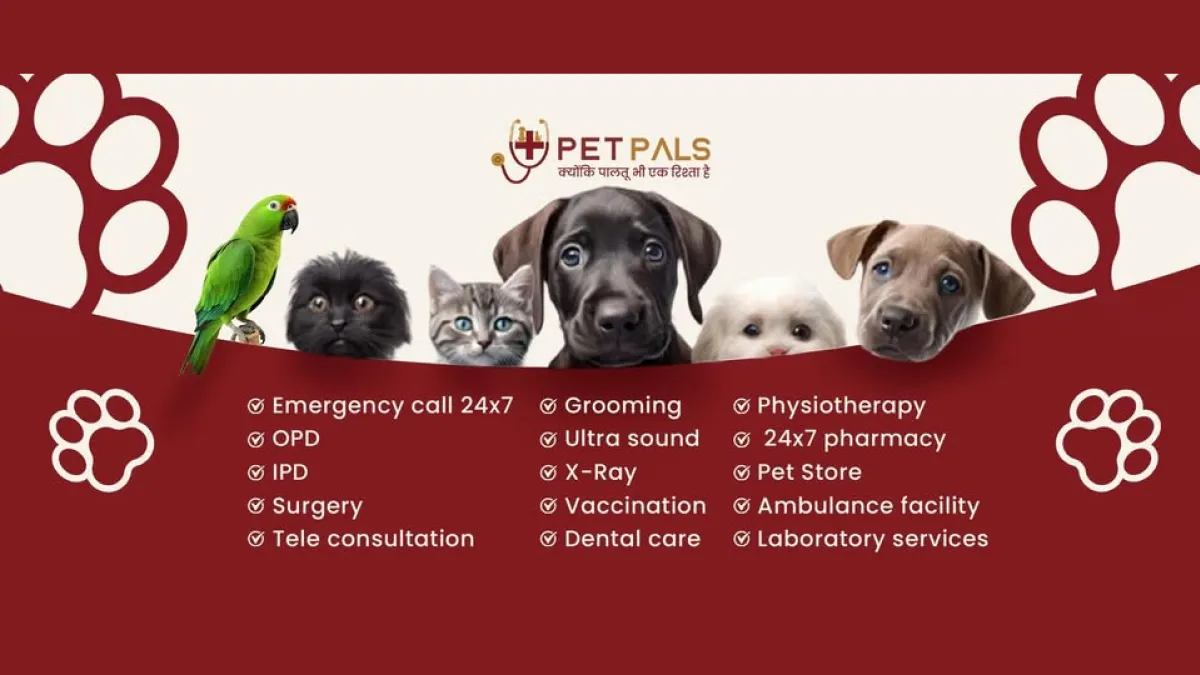 Pet Pals Hospital 1