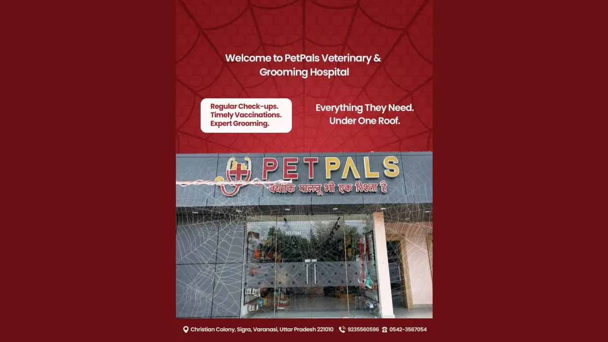 Pet Pals Hospital 2