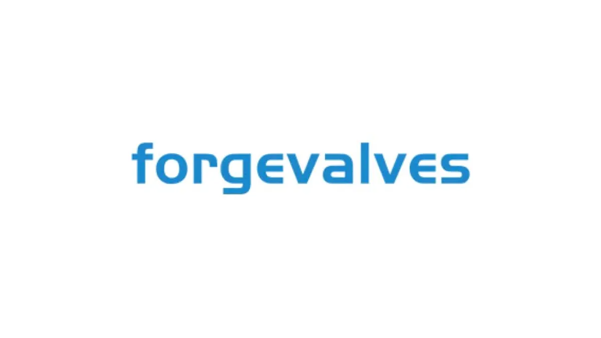 Forgevalves 1