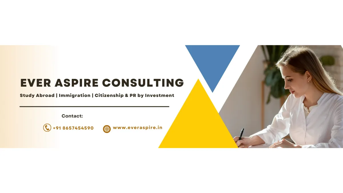Ever Aspire consulting 2