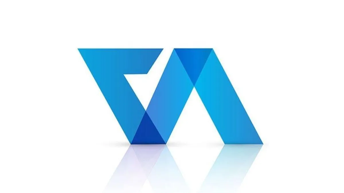 Virtual Auditor Pvt Ltd&nbsp; 1
