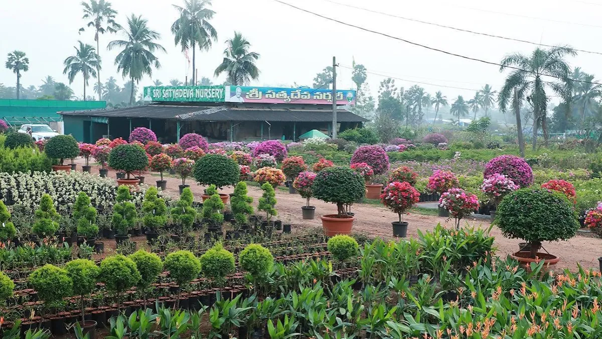 Sri Satyadeva Nursery 1