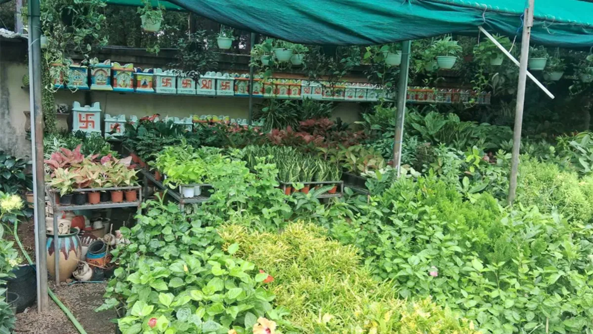 Ganapathi Nursery Gardens 1