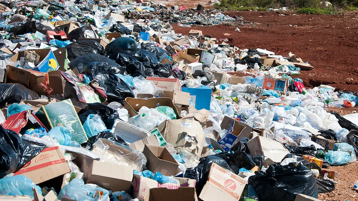 Kerala to utilise services of NSS units in their region to restore garbage dumping sites and vulnerable points