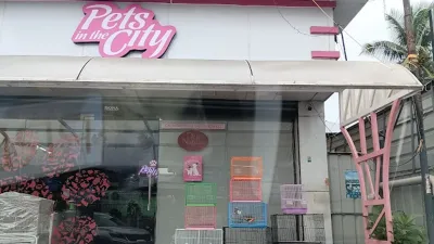Pets in the City