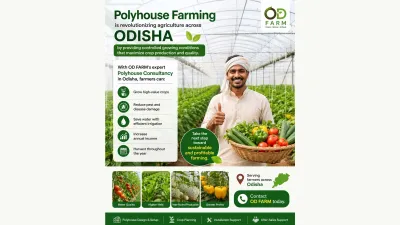 OD FARM