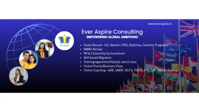 Ever Aspire consulting