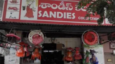 Sandies