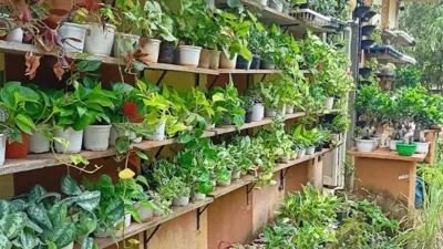 Exotic Plants