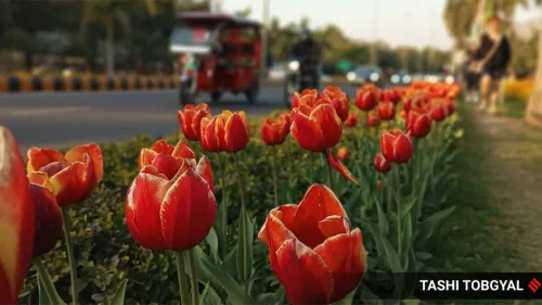 35th Garden Tourism Festival at Garden of Five Senses, Saket from Feb 17