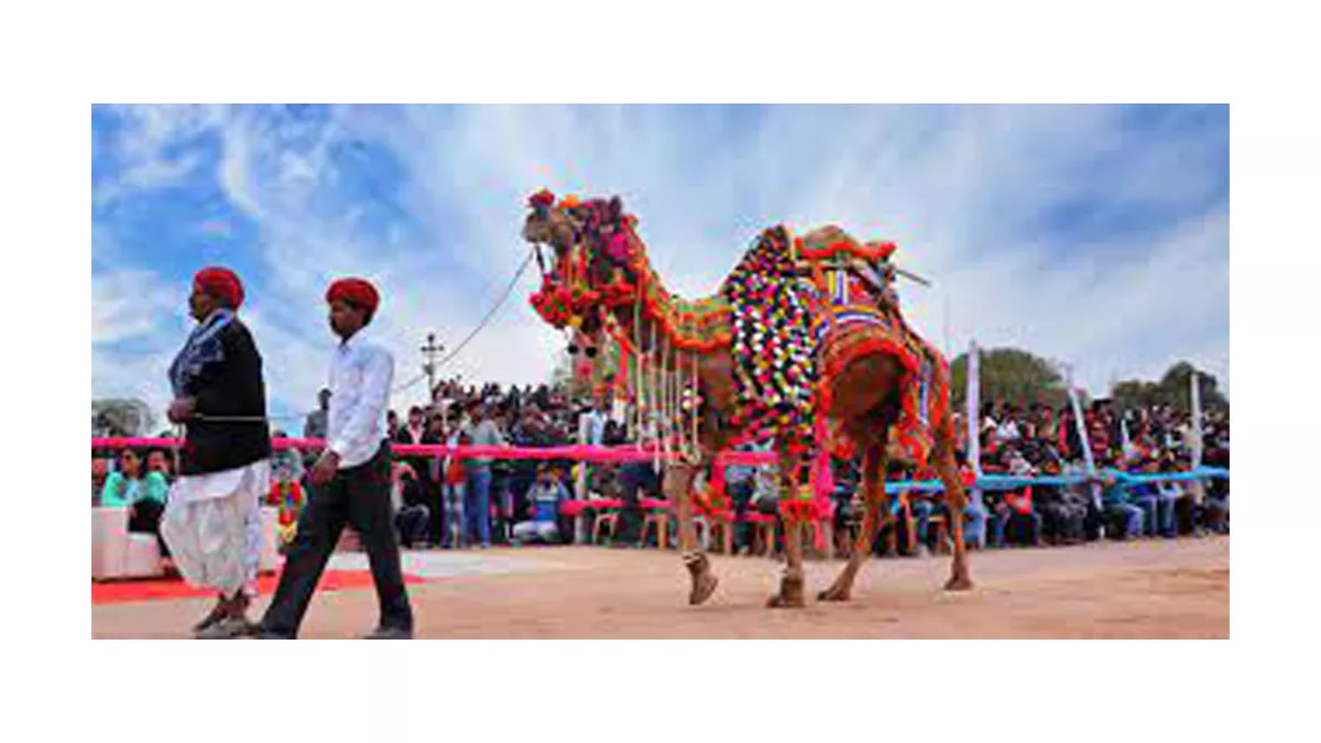 International Camel Festival in Bikaner from January 13 to January 15