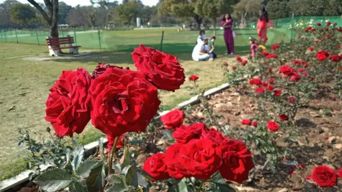 Rose Festival from February 17 to 19 in Chandigarh; dedicated to Azadi Ka Amrit Mahotsav