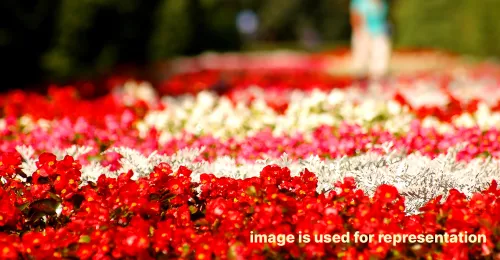 Tamil Nadu Agricultural University’s sixth ‘Covai Flower Show’, to take place from February 23 to 25